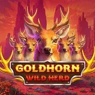 Goldhorn Wild HerdBarbarabang screenshot